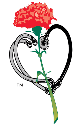 Red Carnation - Symbol of Doctors' Day